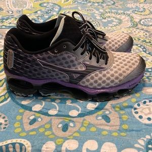 Mizuno wave prophecy